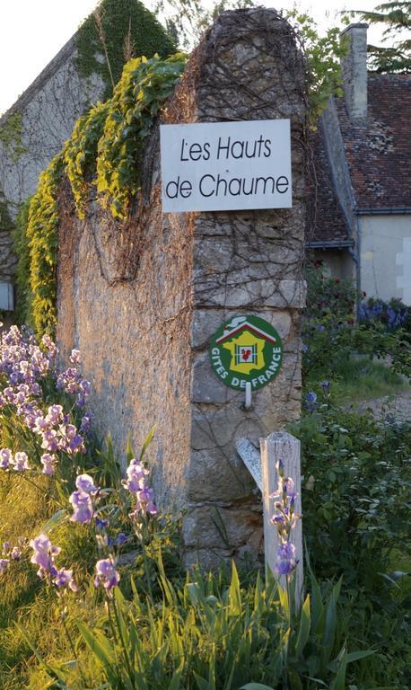 Les Hauts De Chaume Génillé Zewnętrze zdjęcie